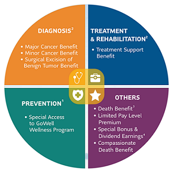 Cancer-care-pie-chart